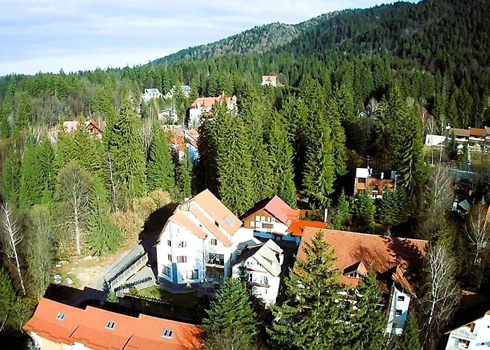 Wiese Poiana Villa *